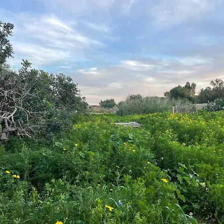 Il-harruba Farmhouse Ξενοδοχείο 3*